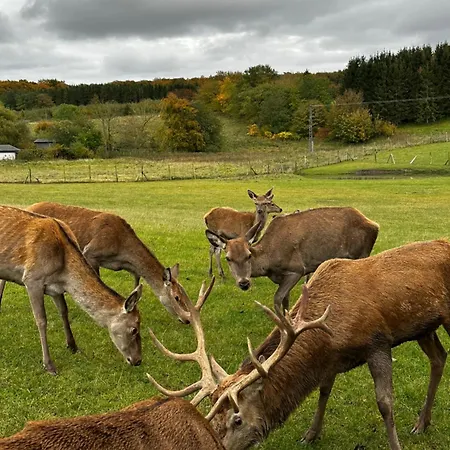 Villa Villa-holzreich Lohme