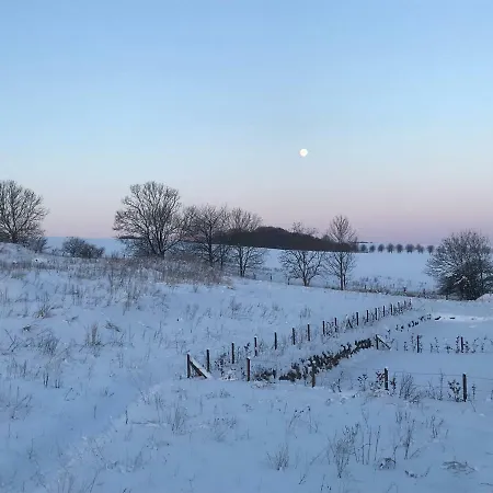 Villa-holzreich * Lohme